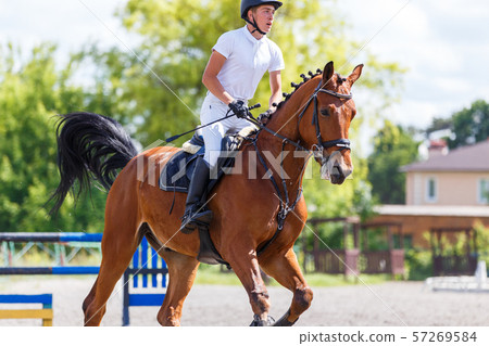 Young male horse rider on show jumping competition 57269584