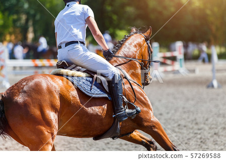 Young male horse rider on show jumping competition Young male horse rider on show jumping competition 57269588