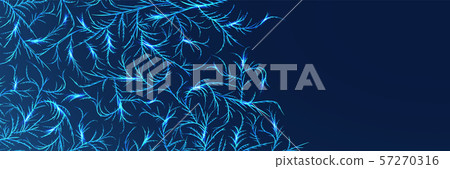 Web banner with frost ornament. Ice crystals Web banner with frost ornament. Ice crystals 57270316