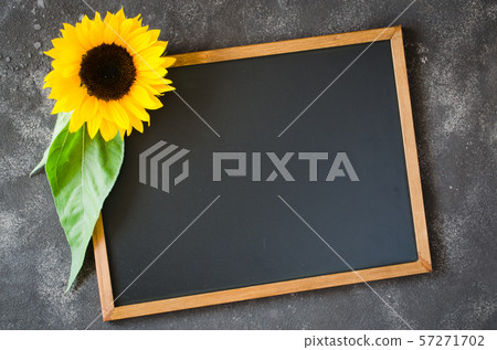 Blank chalkboard on dark stone with sunflower. Autumn background for your notifications. Fall season. Blank chalkboard on dark stone with sunflower. Autumn background for your notifications. Fall season. 57271702