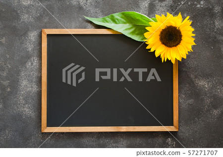Blank chalkboard on dark stone with sunflower. Autumn background for your notifications. Fall season. Blank chalkboard on dark stone with sunflower. Autumn background for your notifications. Fall season. 57271707