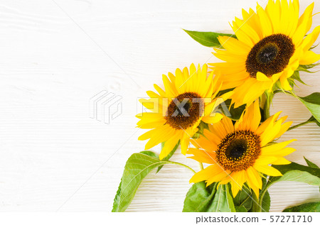 Autumn background with a bouquet of yellow sunflowers against a white brick wall. 57271710