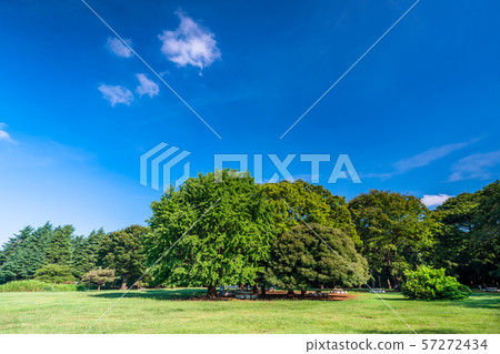 東京夏天Hikarigaoka公園 東京夏天Hikarigaoka公園 57272434