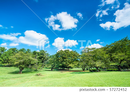 東京夏天Hikarigaoka公園 東京夏天Hikarigaoka公園 57272452