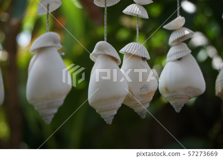 Mobile shells Mobile shells 57273669