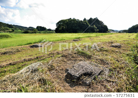 山田寺遺址 山田寺遺址 57275631