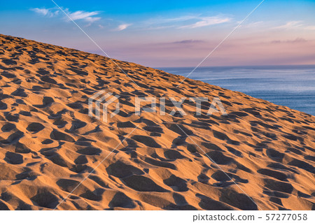 <<鳥取縣>>鳥取沙丘的黎明 57277058