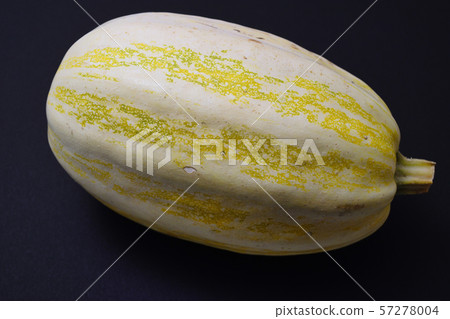 南瓜南瓜 57278004