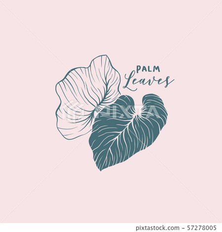 Banana, monstera leaves logotype design idea Banana, monstera leaves logotype design idea 57278005
