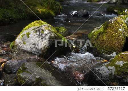 山間溪流 57278517