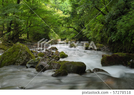 山間溪流 57278518