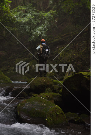 Mountain stream Mountain stream 57278529