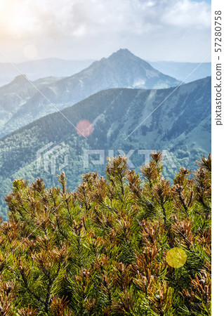 Big Rozsutec peak, Little Fatra, Slovakia 57280758