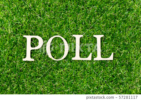Wood letter in word poll on green grass background Wood letter in word poll on green grass background 57281117