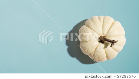 Autumn pumpkin from above 57282570