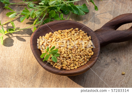Fenugreek seeds on a wooden spoon on a table Fenugreek seeds on a wooden spoon on a table 57283314