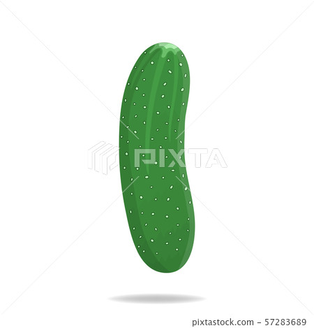 Fresh Cucumber Vegetable isolated on white Fresh Cucumber Vegetable isolated on white 57283689