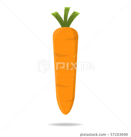 Fresh Carrot Vegetable isolated on white Fresh Carrot Vegetable isolated on white 57283690