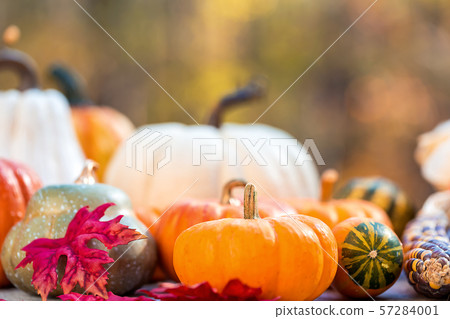 Variety of pumpkins outside in autumn 57284001