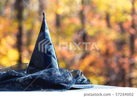 Halloween theme with witches hat 57284002