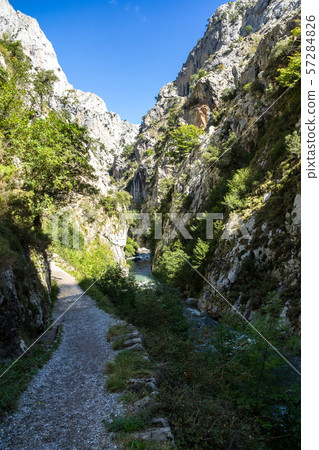 the Cares trail, garganta del cares, in the Picos de Europa Mountains, Spain 57284826