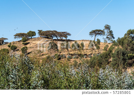 Landscape view between Gondar and the Simien mountains, Ethiopia, Africa Landscape view between Gondar and the Simien mountains, Ethiopia, Africa 57285801