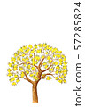 Lemon tree watercolor image 57285824