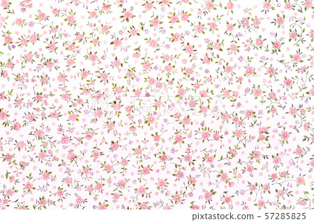 Floral illustrations 57285825