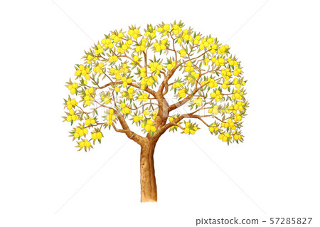 Lemon tree watercolor image 57285827