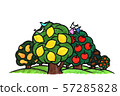 Lemon tree apple tree 57285828