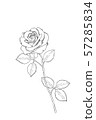 Rose line drawing 57285834