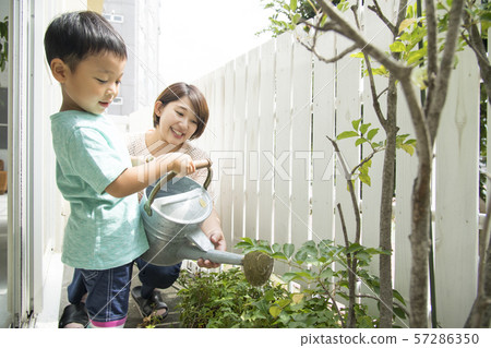 Gardening with parents and children 57286350
