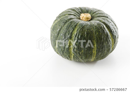Botchan Pumpkin 57286667