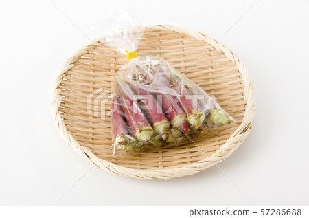 紅秋葵（包裝） 57286688