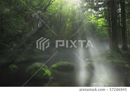 Summer former waterfall underwater water Summer former waterfall underwater water 57286945