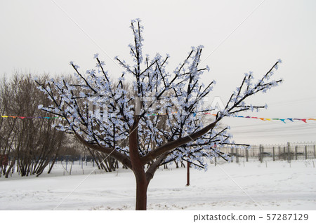 Decoration in the winter Park on the big holiday Christmas and New year. Modern installation - 57287129