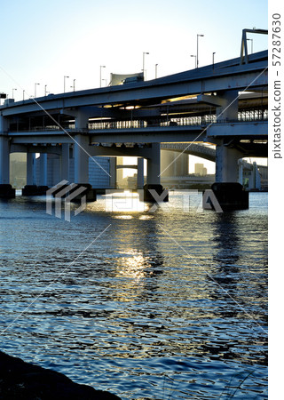 彩虹橋晚上視圖從Odaiba海濱公園的 彩虹橋晚上視圖從Odaiba海濱公園的 57287630