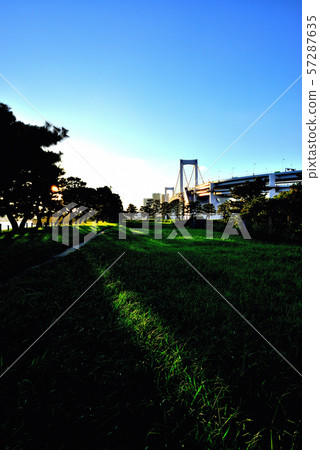 彩虹橋晚上視圖從Odaiba海濱公園的 彩虹橋晚上視圖從Odaiba海濱公園的 57287635