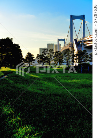 彩虹橋晚上視圖從Odaiba海濱公園的 57287636
