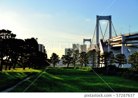 彩虹橋晚上視圖從Odaiba海濱公園的 彩虹橋晚上視圖從Odaiba海濱公園的 57287637