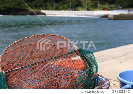Harbor fishing scenery Harbor fishing scenery 57288347