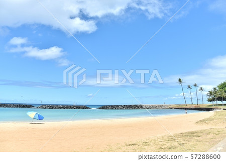Holidays in Hawaii 57288600