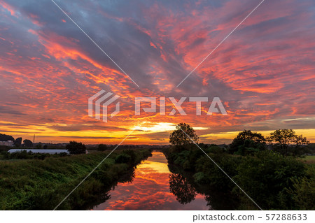 Minuma rice field Shibakawa and sunrise Minuma rice field Shibakawa and sunrise 57288633