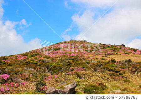 漢拏山,山,登山,森林,山,森林,森林,杜鵑花,奇怪的岩層,Youngsil當然,eorimok, 漢拏山,山,登山,森林,山,森林,森林,杜鵑花,奇怪的岩層,Youngsil當然,eorimok, 57288765