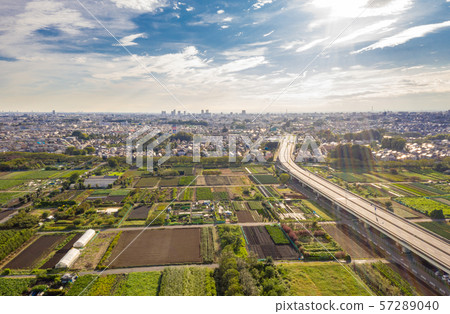 Aerial view of Minuma rice fields and Shinminuma Bridge 57289040