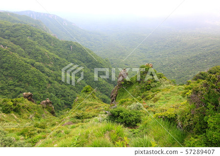 漢拏山,山,登山,森林,山,森林,森林,杜鵑花,奇怪的岩層,Youngsil當然,eorimok, 漢拏山,山,登山,森林,山,森林,森林,杜鵑花,奇怪的岩層,Youngsil當然,eorimok, 57289407