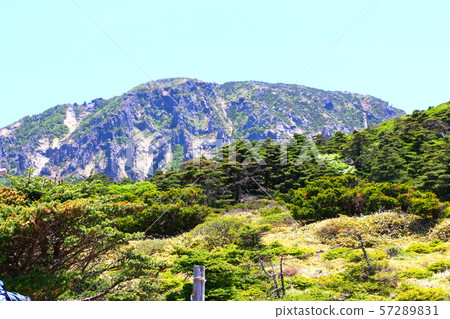 漢拏山,山,登山,森林,山,森林,森林,杜鵑花,奇怪的岩層,Youngsil當然,eorimok, 漢拏山,山,登山,森林,山,森林,森林,杜鵑花,奇怪的岩層,Youngsil當然,eorimok, 57289831