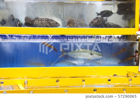 Aquarium fish at the fish market Aquarium fish at the fish market 57290065