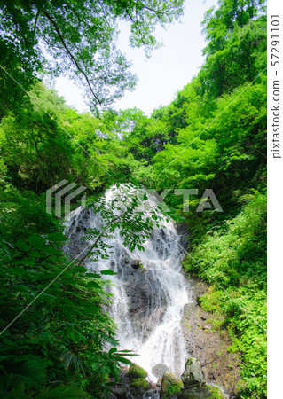 Kaisei no Taki Falls (Yamagata Prefecture) Kaisei no Taki Falls (Yamagata Prefecture) 57291101