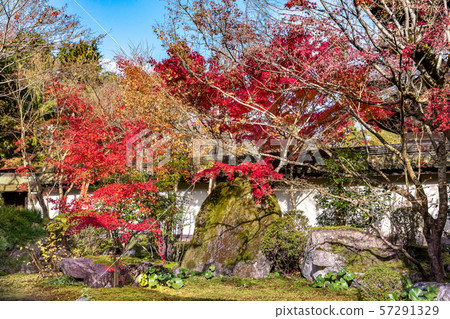 北條北花園 北條北花園 57291329